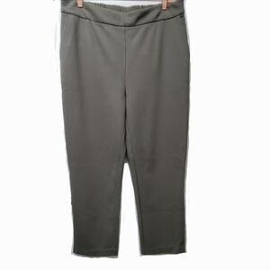 Petite Principle Olive Gray Flat Front Side Back Pockets Pants Size XLP New